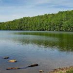 Green Turtle Lake