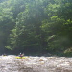 Neversink River Gorge